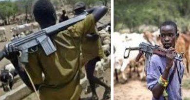 Renewed Herdsmen Attacks Claim 19 Lives in Benue Communities